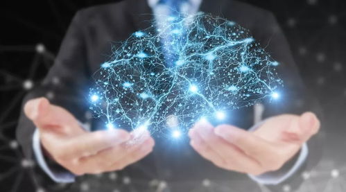 Arm中国人工智能业务总部落户青浦 驱动计算机信息科技技术开发新浪潮